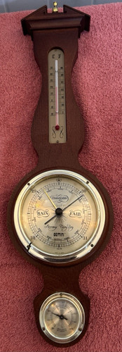 Vintage gemini banjo weather - gemini,